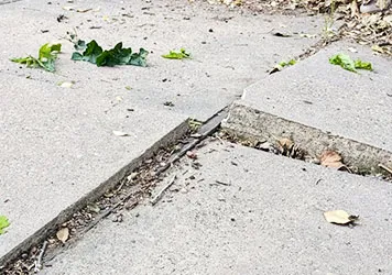 Soil Stabilization Near Me