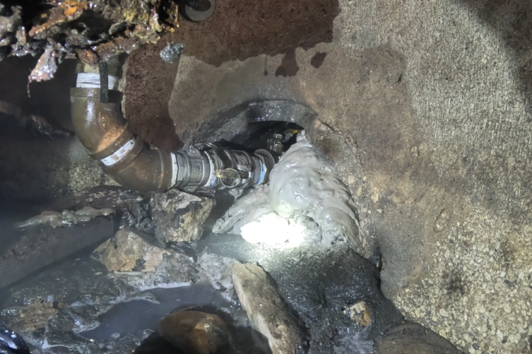 Screenshot 2026 02 13 132923